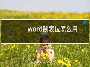 word制表位怎么用（word制表位怎么制作）