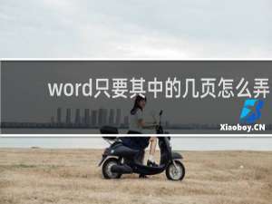 word只要其中的几页怎么弄