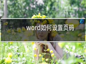 word如何设置页码分节（word如何设置页码）