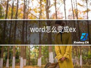 word怎么变成excel表格
