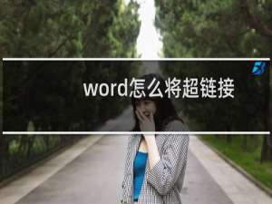 word怎么将超链接连接到固定项目