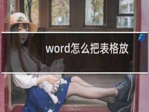 word怎么把表格放大