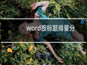word按标题排量分页
