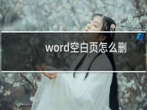 word空白页怎么删除不了怎么办