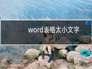 word表格太小文字怎么插入