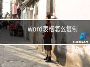 word表格怎么复制