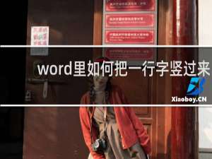 word里如何把一行字竖过来