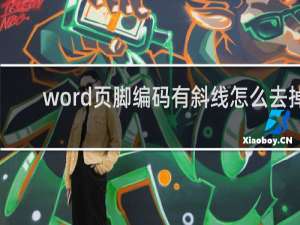 word页脚编码有斜线怎么去掉
