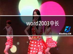 word2003中长破折号怎么打