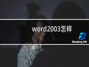 word2003怎样把表格和文字互相转换