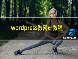 wordpress做网站教程