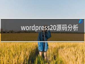 wordpress 源码分析