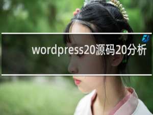 wordpress 源码 分析