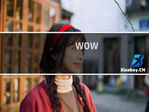 wow 攻略图