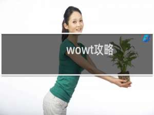 wowt攻略