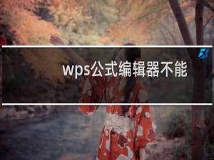 wps公式编辑器不能用怎么办