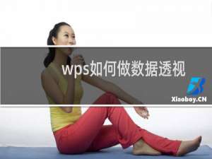 wps如何做数据透视图