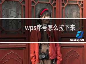 wps序号怎么拉下来12345