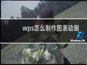 wps怎么制作图表动画