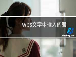 wps文字中插入的表格怎么设置保护密码防止数据被修改