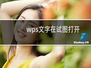 wps文字在试图打开文件时遇到错误怎么办