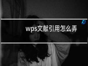 wps文献引用怎么弄