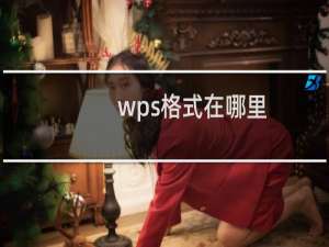 wps格式在哪里（wps格式在哪）