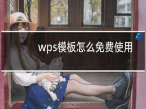 wps模板怎么免费使用