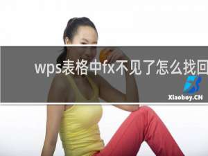 wps表格中fx不见了怎么找回