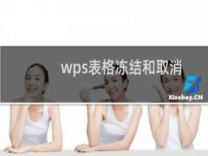 wps表格冻结和取消冻结窗口