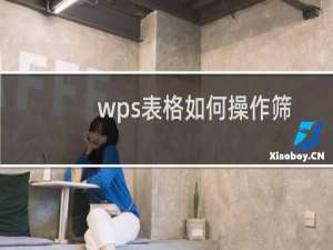 wps表格如何操作筛选格式?