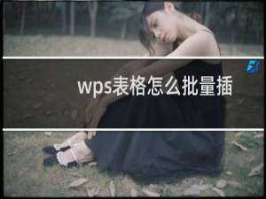 wps表格怎么批量插入复制批注