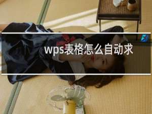 wps表格怎么自动求和,wps表格快速自动求和方法