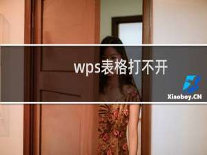 wps表格打不开，提示在试图打开文件时遇到错误