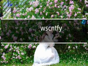 wscntfy.exe进程是什么