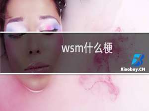 wsm什么梗