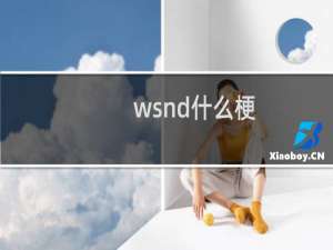 wsnd什么梗