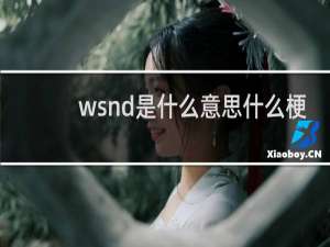 wsnd是什么意思什么梗