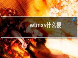 wtmxs什么梗