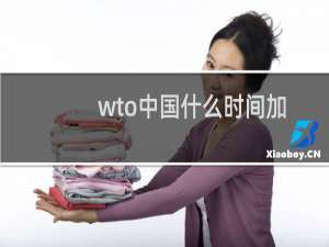 wto中国什么时间加入的（wto是什么）