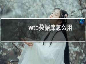 wto数据库怎么用