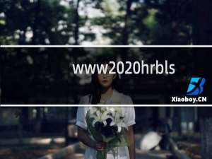 www  hrblss  gov  cn