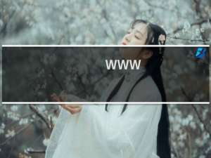 www.ptsyuan.com说域名指向国外，限时处理
