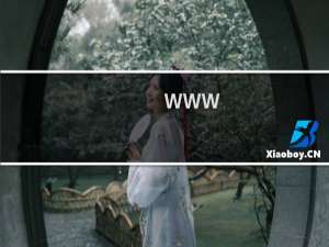 www.watch-ad.com  这个数据库无法导入数据