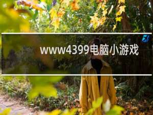 www4399电脑小游戏