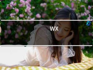 wx.heere.com.cn已经过户成功，也解析了 就是不