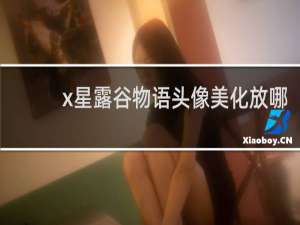 x星露谷物语头像美化放哪