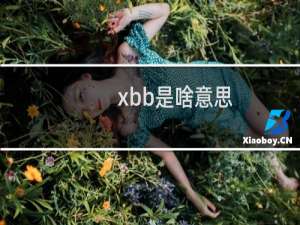 xbb是啥意思，是什么的缩写什么梗