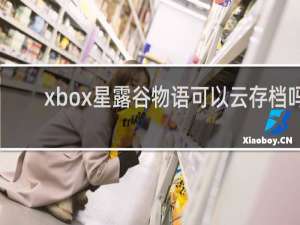 xbox星露谷物语可以云存档吗