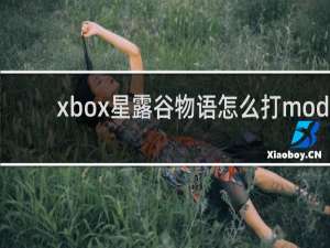 xbox星露谷物语怎么打mod